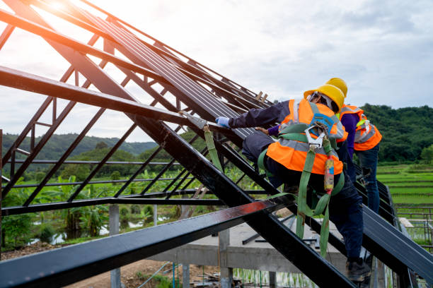 Best Roof Gutter Cleaning  in Paradise Valley, AZ